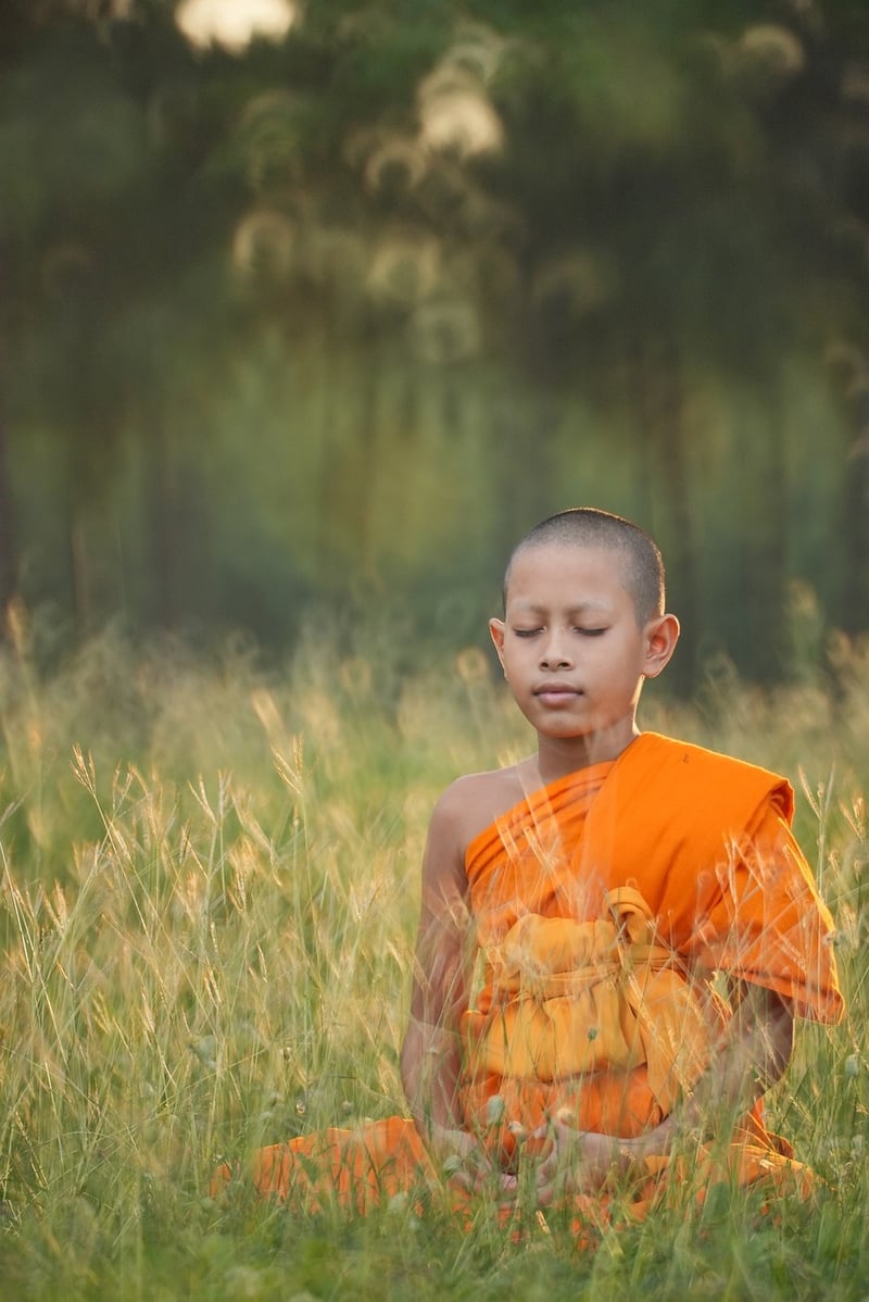Meditation for Emotional Wellness